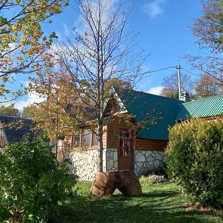 Family Farm Bungalow Žabljak Екстериор снимка