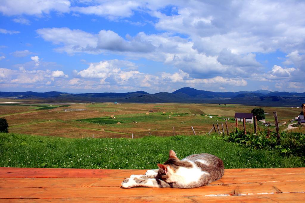 Family Farm Bungalow Žabljak Екстериор снимка